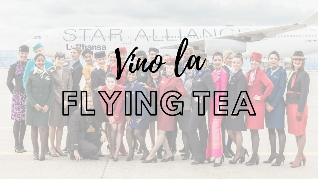 Vino la Flying Tea - un ceai cu echipa Academiei Vreau să fiu Stewardesă